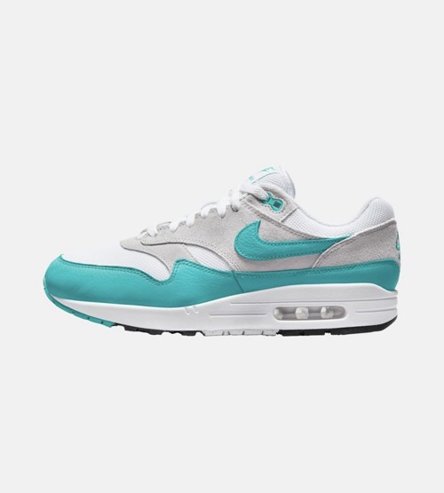 Nike Air Max 1 Dusty Cactus