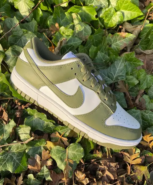 Nike Dunk Low Medium Olive