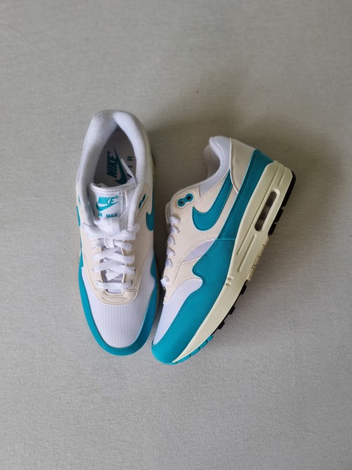 Nike Air Max 1 Dusty Cactus