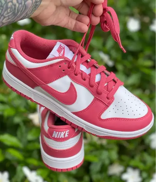 Nike Dunk Low Andre