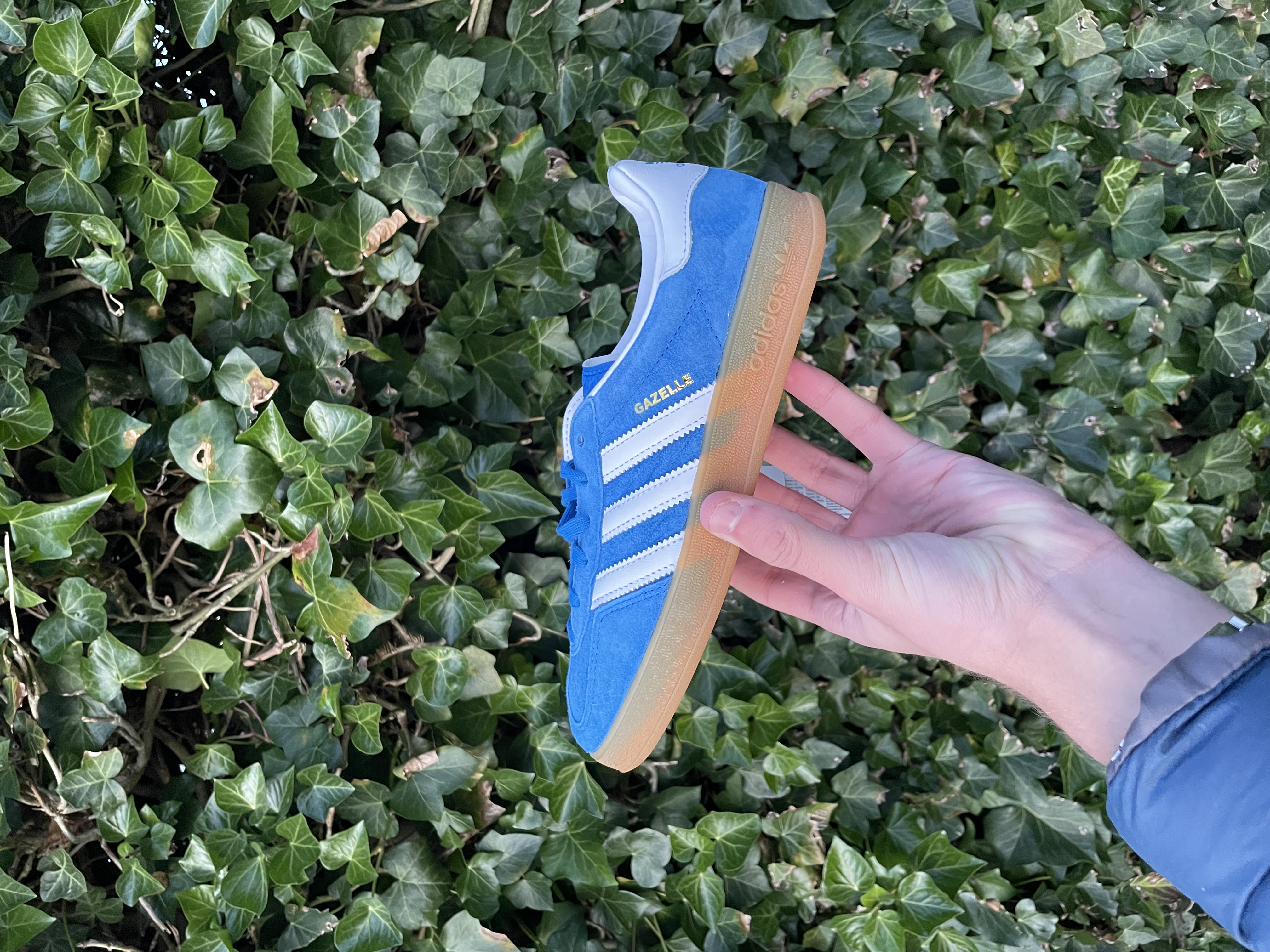 Adidas Gazelle Blue Fusion / Cloud White / Gold Metallic