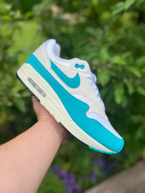 Nike Air Max 1 Dusty Cactus