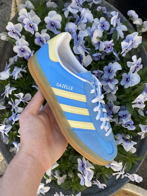 Adidas Gazelle Semi Blue Burst / Almost Yellow / Cloud White