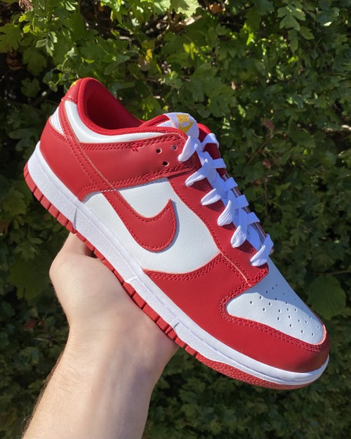 Nike Dunk Low USC