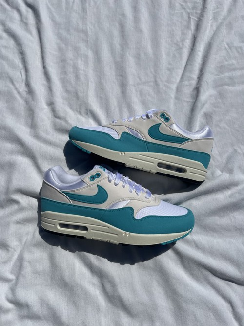 Nike Air Max 1 Dusty Cactus