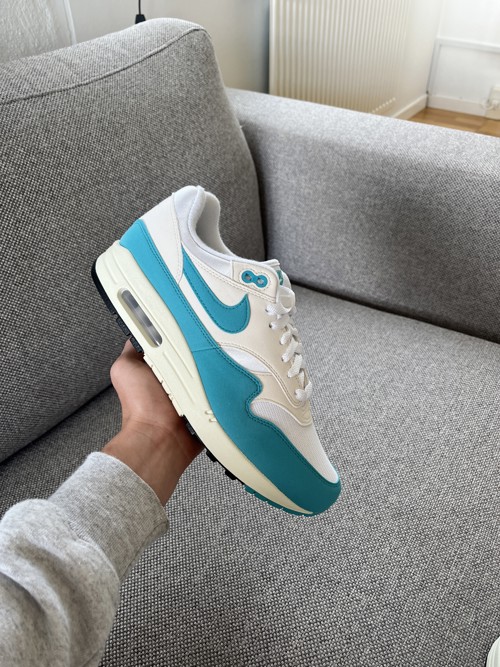 Nike Air Max 1 Dusty Cactus