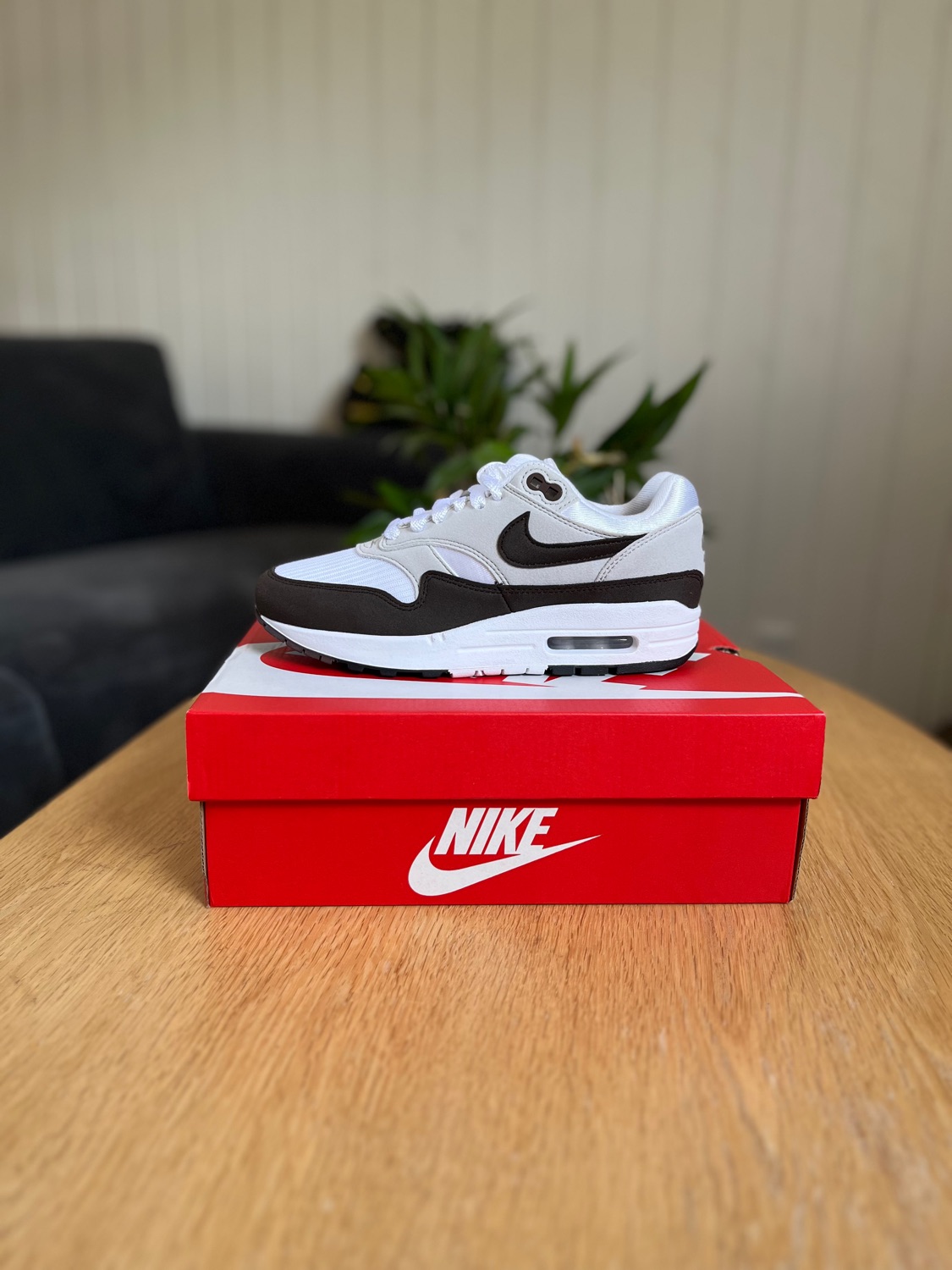 Nike Air Max 1