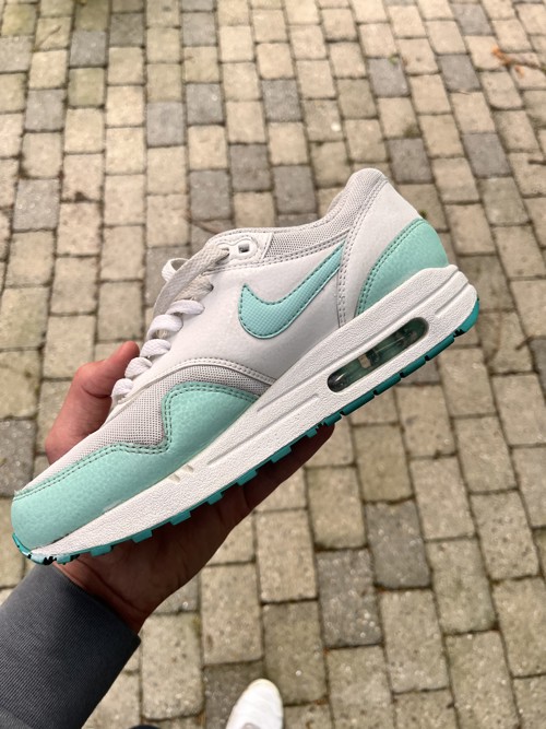 Nike Air Max 1 Dusty Cactus