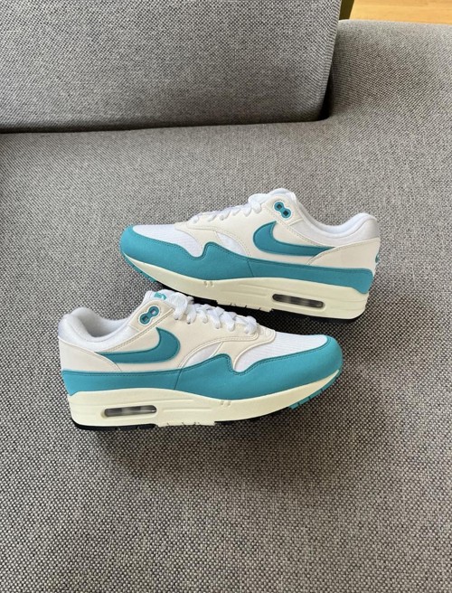 Nike Air Max 1 Dusty Cactus