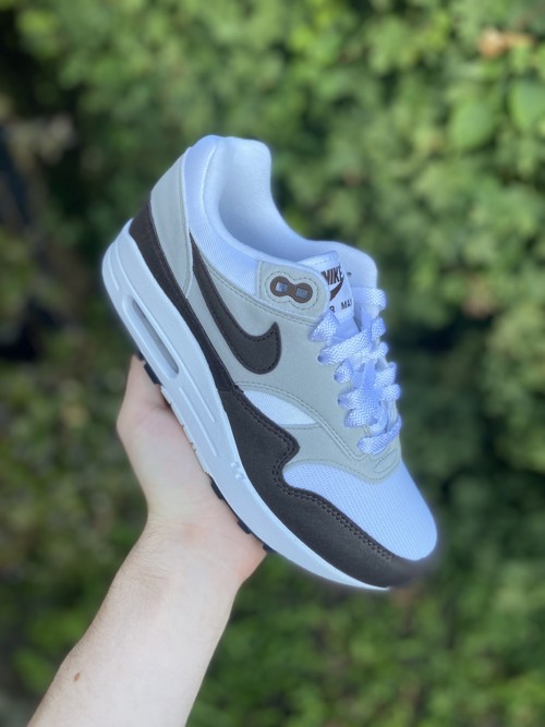 Nike Air Max 1