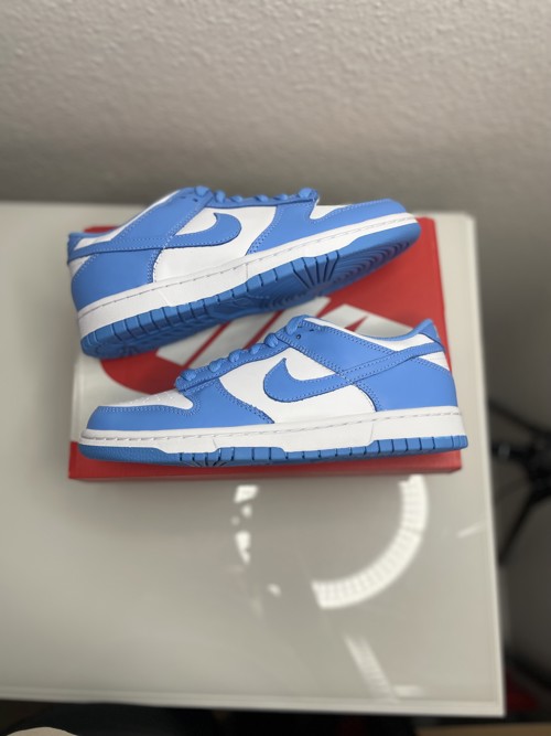 Nike Dunk Low UNC