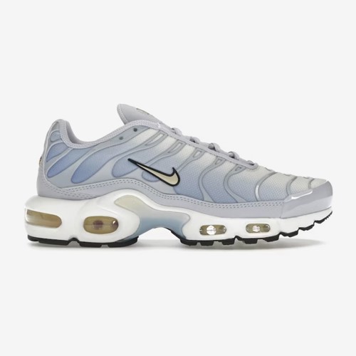 Nike Air Max Plus Daybreak