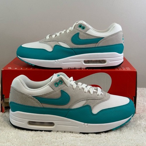 Nike Air Max 1 Dusty Cactus