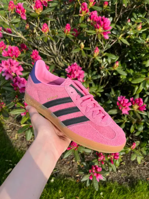 Adidas Gazelle Bliss Pink / Core Black / Collegiate Purple