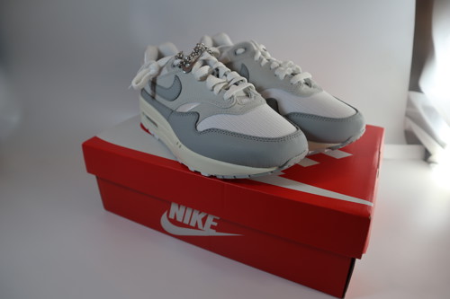 Nike Air Max 1 Pure Platinium