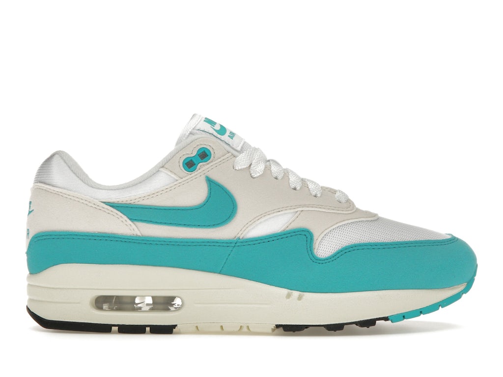 nike air-max-1 Dusty Cactus