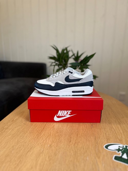 Nike Air Max 1
