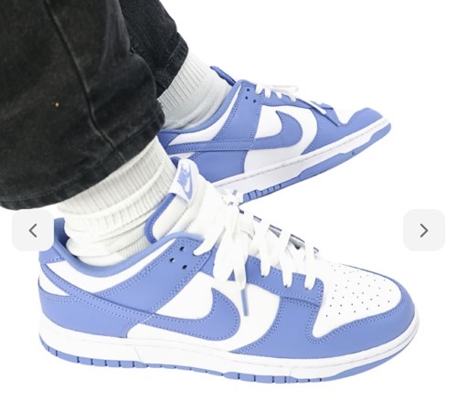 Nike Dunk Low UNC