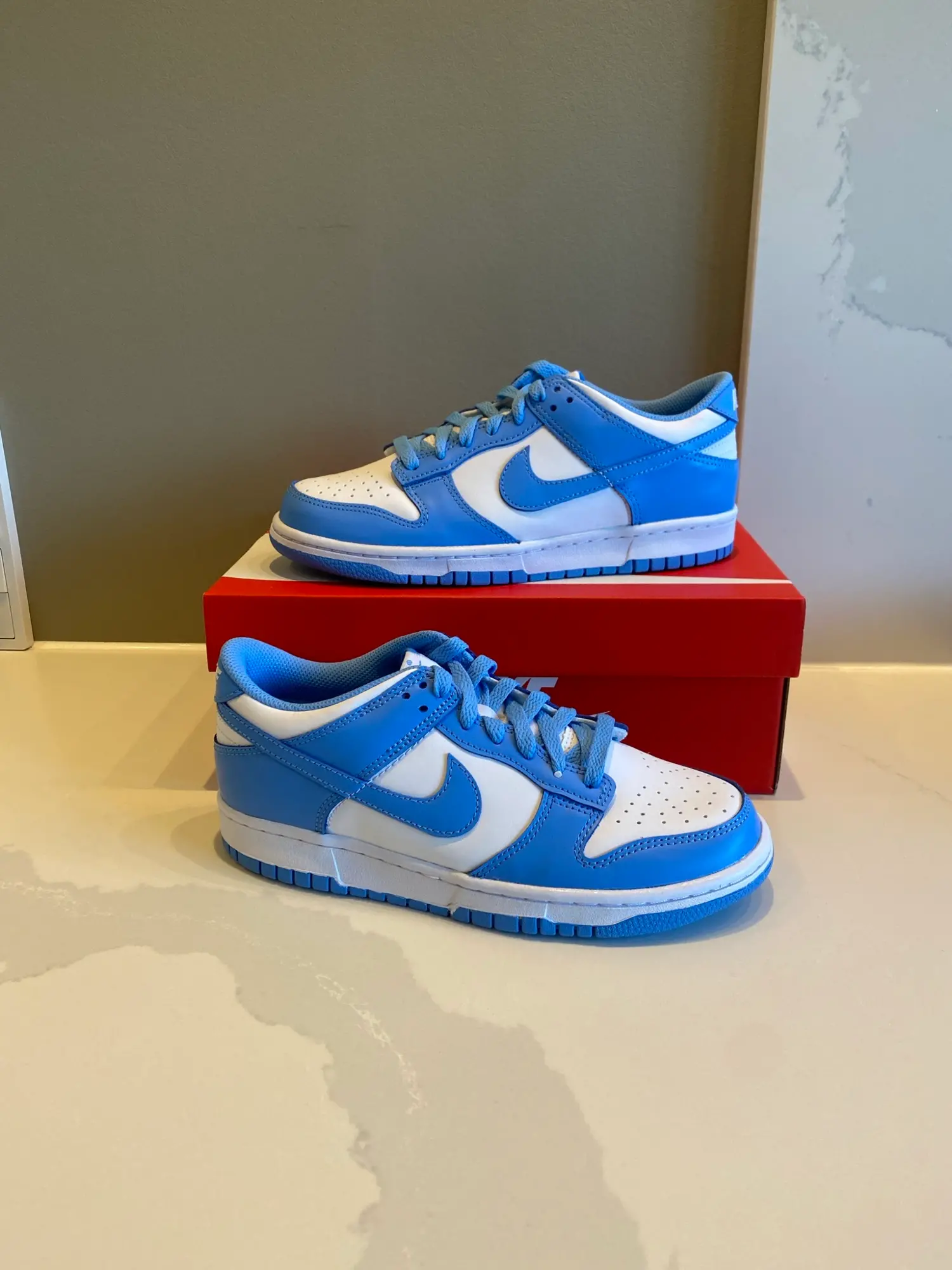 Nike Dunk Low UNC