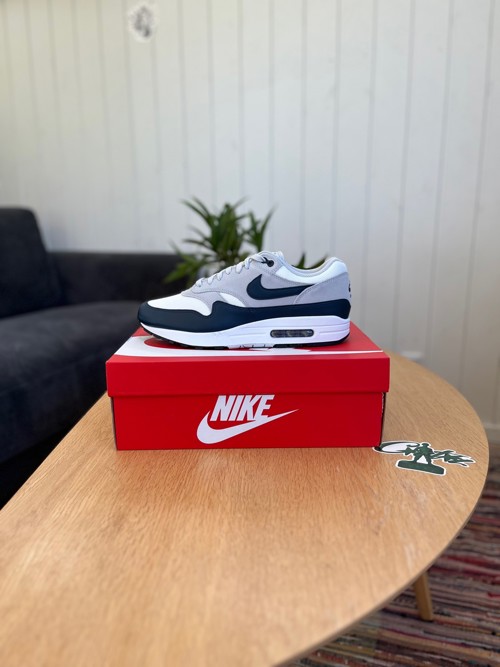 Nike Air Max 1