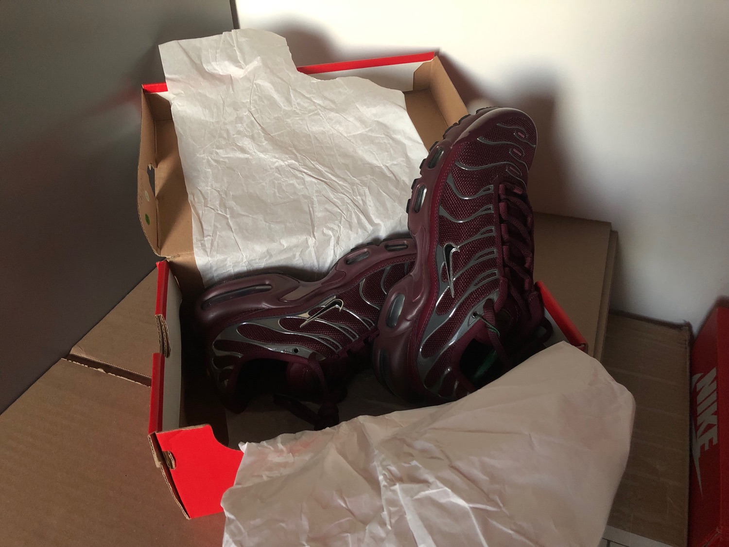 Nike Air Max Plus