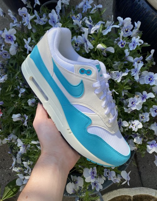 Nike Air Max 1 Dusty Cactus