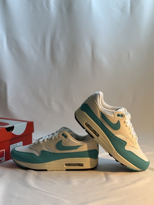 Nike Air Max 1 Dusty Cactus