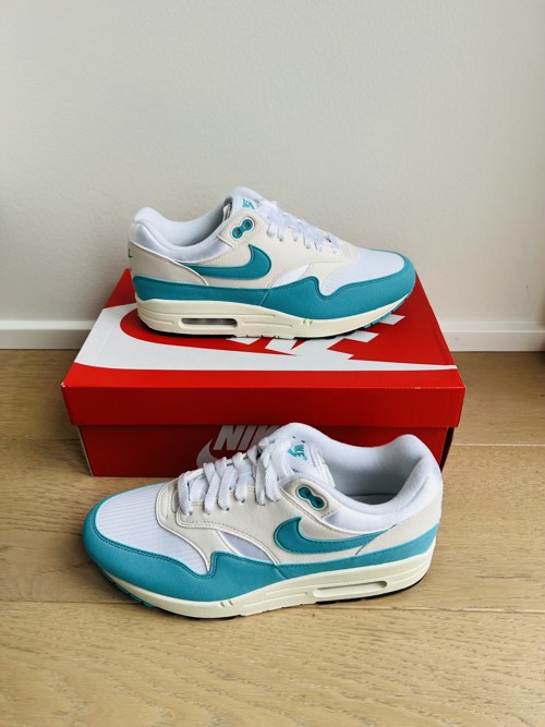 Nike Air Max 1