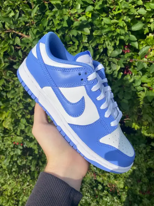 Nike Dunk Low UNC